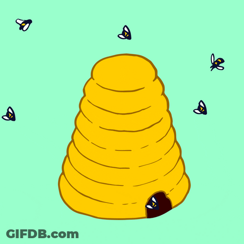 Animated Honey Bee Hive GIF