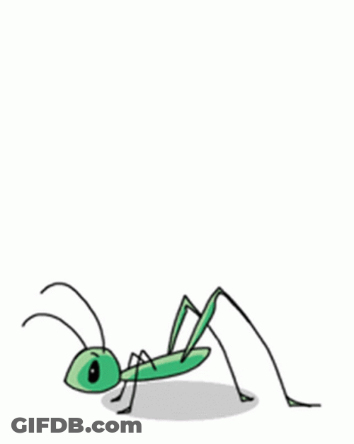 Animated Insect Grasshopper GIF