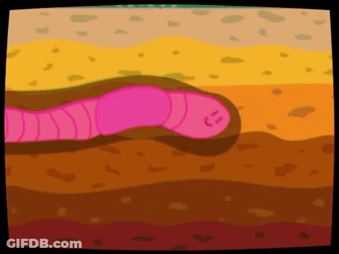Animated Insect Worm GIF
