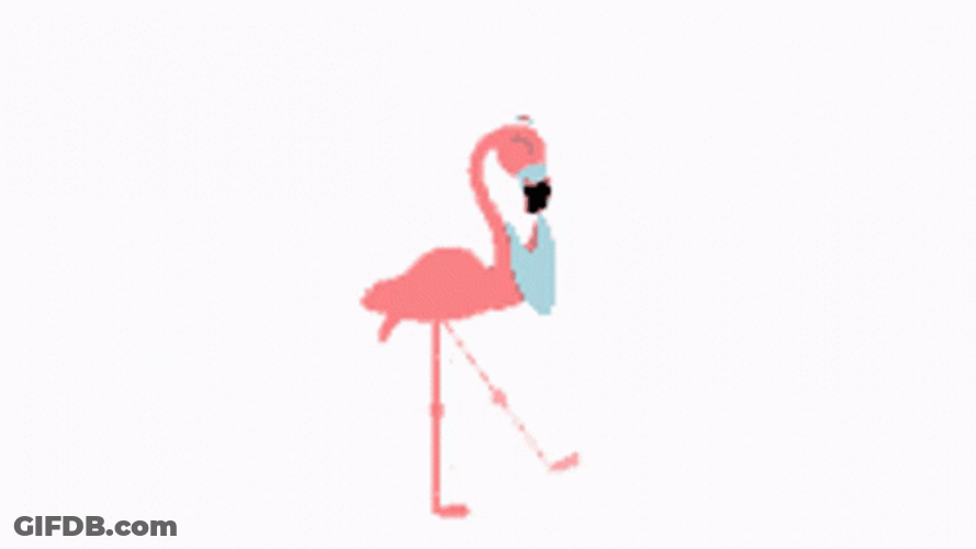 Animated Jumping Flamingo GIF