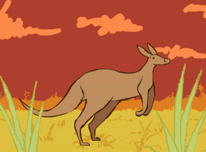 Animated Kangaroo Jumping GIF