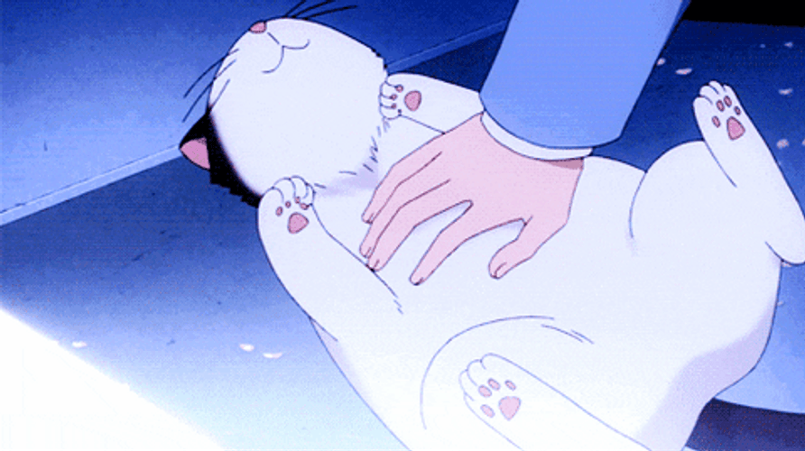Animated Kawaii Cat GIF