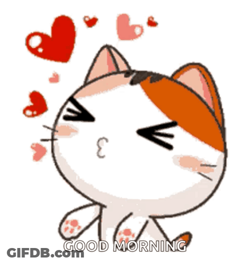 Animated Kitty Cat Good Morning GIF
