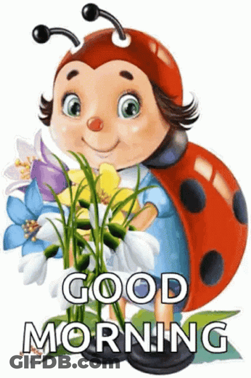 Animated Lady Bug Happy Good Morning GIF
