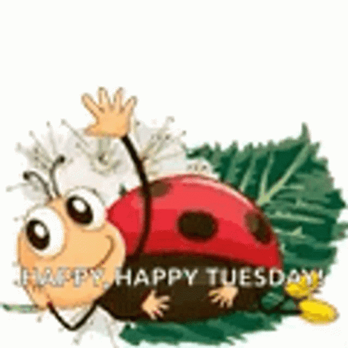 Animated Ladybug Wave Hello GIF