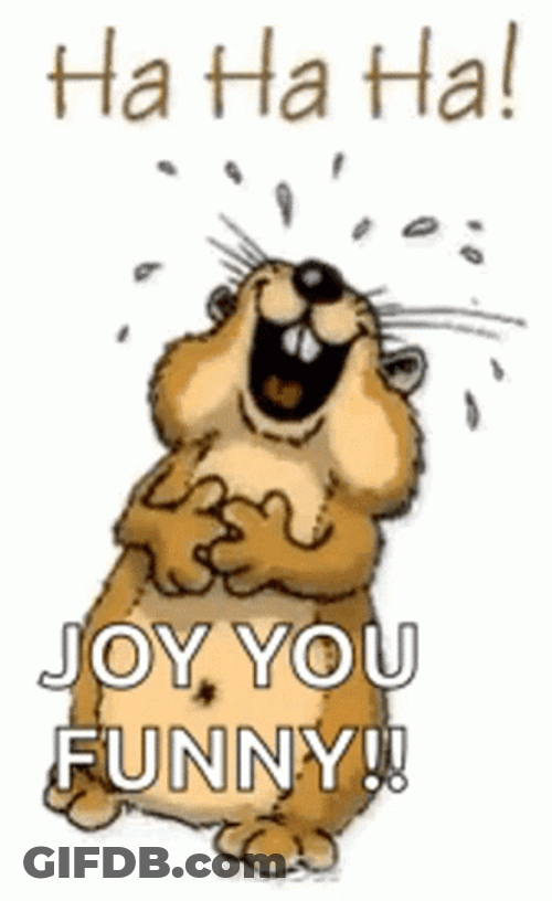 Animated Laughing Chipmunk You're Funny GIF
