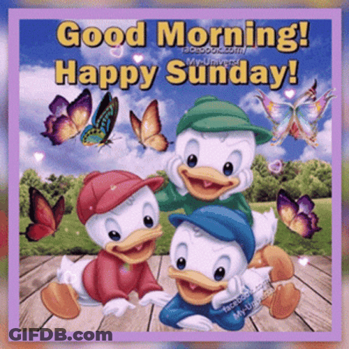 Animated Little Ducklings Greeting Happy Sunday GIF