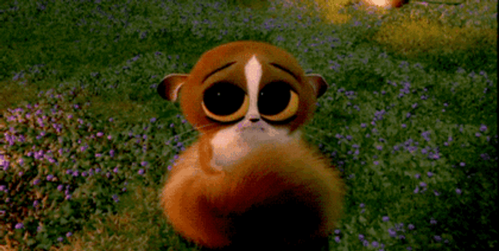 Animated Madagascar Baby Lemur Hug GIF