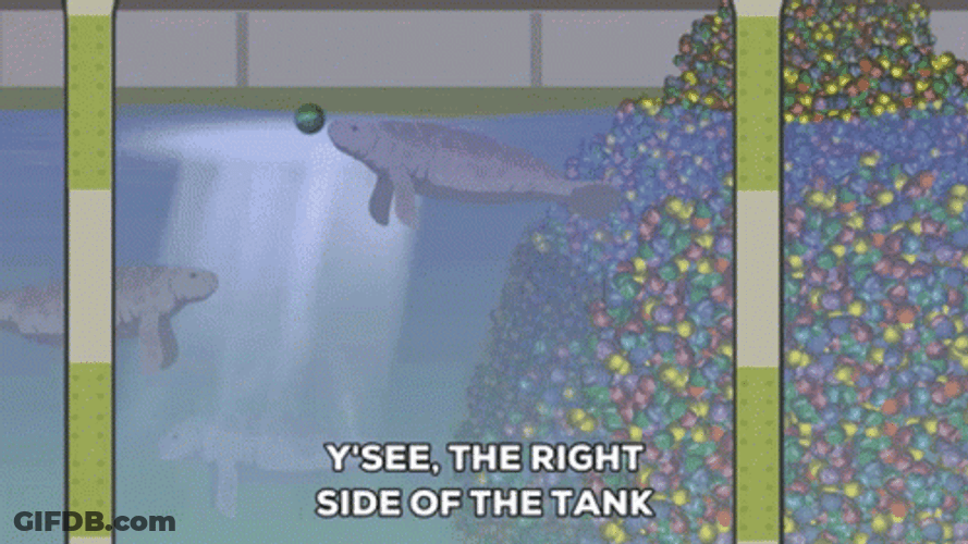 Animated Manatee Swimming With Idea Balls GIF