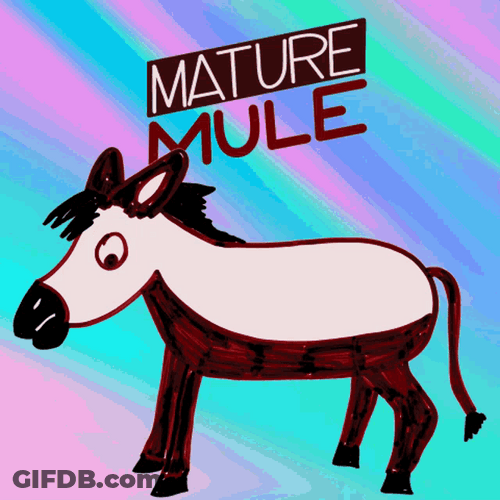 Animated Mature Mule Drawing GIF