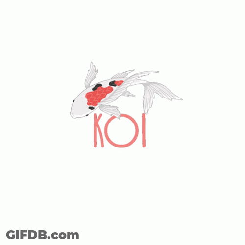 Animated Minimalist Koi Fish Swimming Around GIF