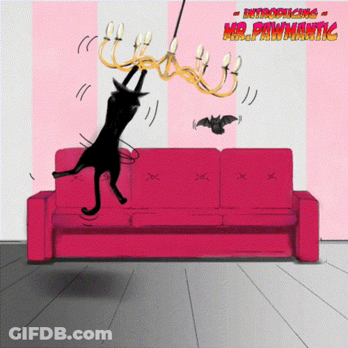 Animated Monday Black Cat Hanging From Chandelier GIF