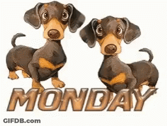 Animated Monday Cute Doxie Pups GIF