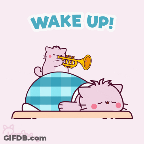 Animated Monday Sleeping Cat Awoken By Trumpet GIF