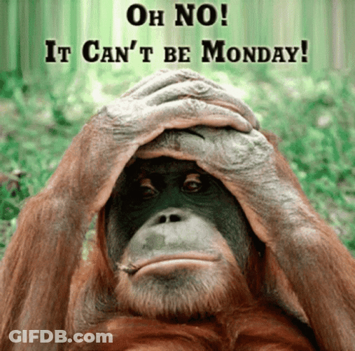 Animated Monkey Oh No Funny Monday Reaction GIF