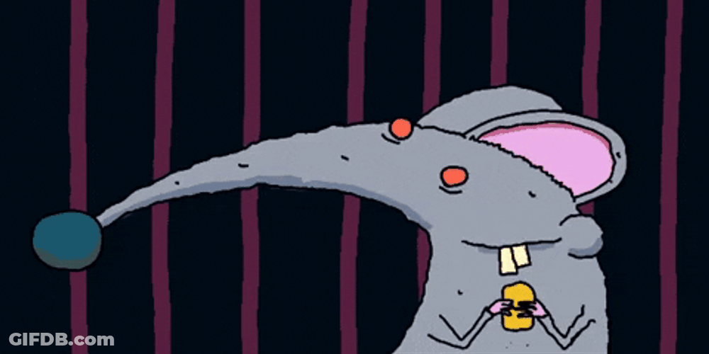Animated Mouse Chewing GIF