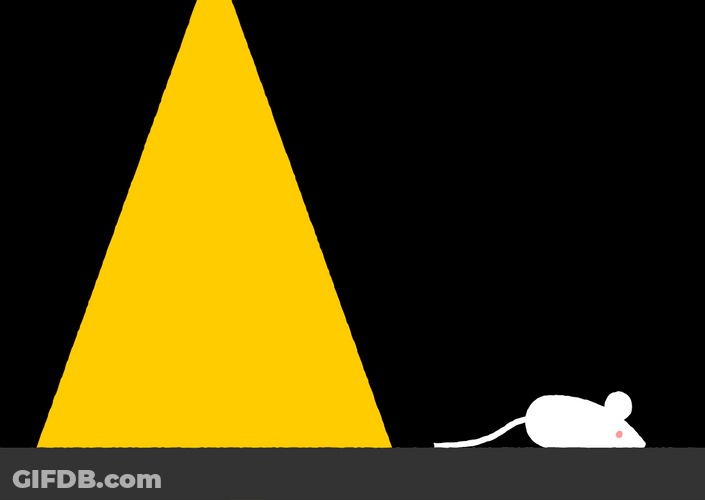 Animated Mouse Light Catcher GIF