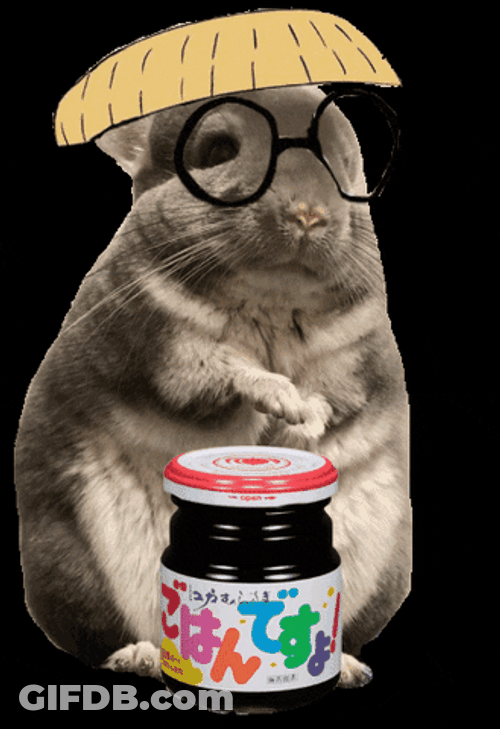Animated Multiple Chinchilla With Jam GIF