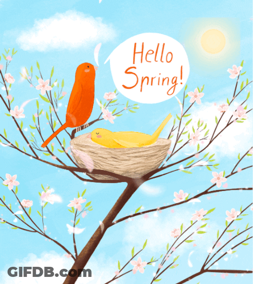 Animated Orange Bird Hello Spring Happy Spring GIF