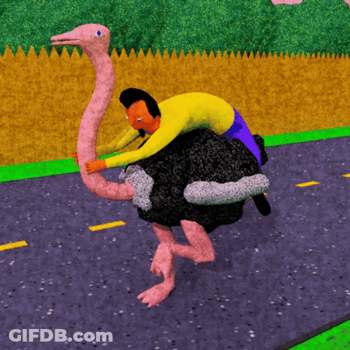 Animated Ostrich Ride Roundtrip GIF