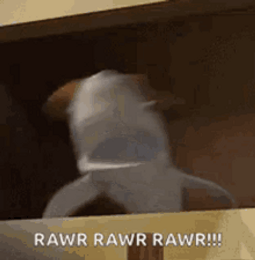 Animated Over Active Shark Rawr GIF