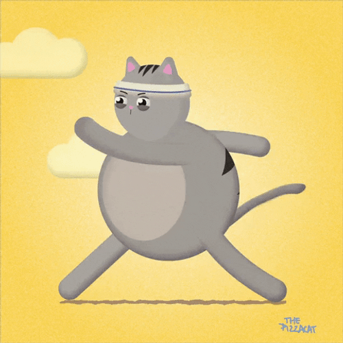 Animated Overweight Cat Jogging GIF