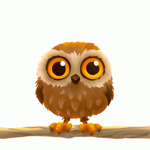 Animated Owl Have Wonderful Day GIF