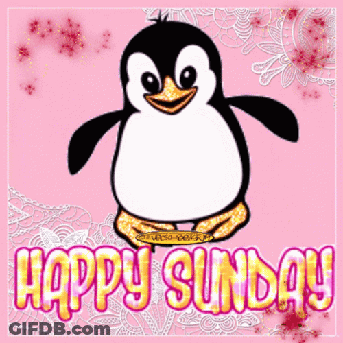 Animated Penguin Happy Sunday Image GIF