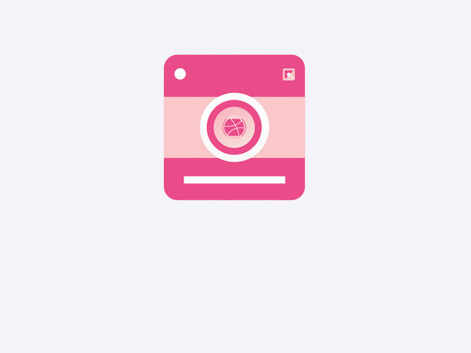 Animated Polaroid Icon GIF