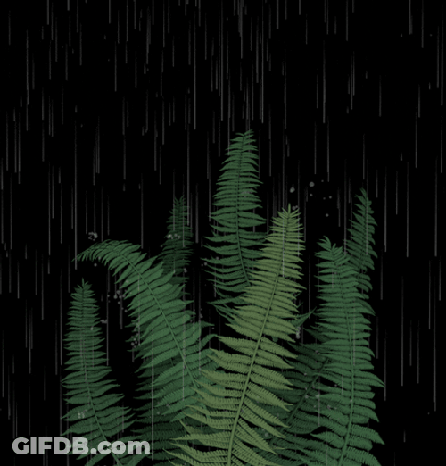Animated Pouring Rain In Leaves GIF