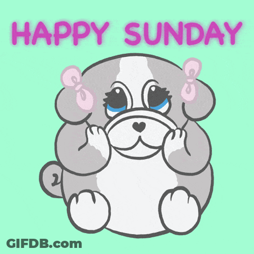 Animated Puffy Eyed Dog Happy Sunday Design GIF