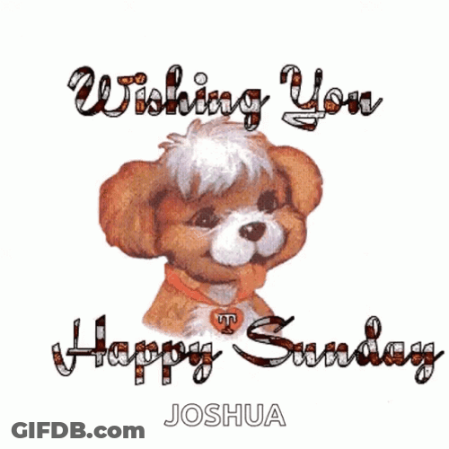Animated Puppy Wishing You Happy Sunday GIF