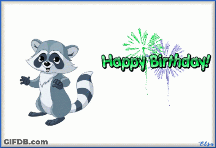 Animated Raccoon Happy Birthday With Fireworks GIF