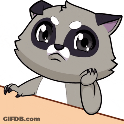 Animated Racoon Still Waiting GIF