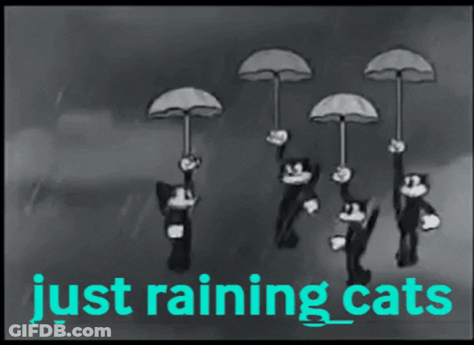Animated Raining Cats Vintage Clip GIF