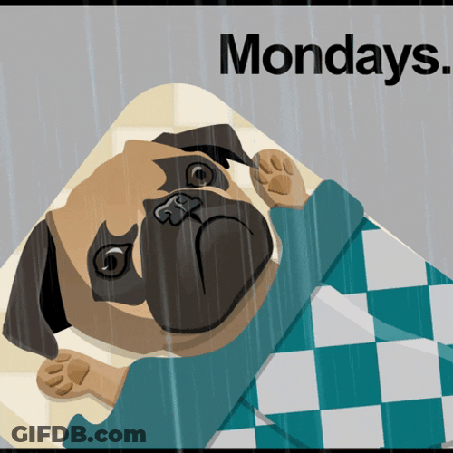 Animated Rainy Monday Sleepy Pug GIF
