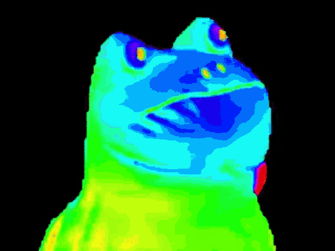 Animated Rgb Color Frog Dancing Meme GIF