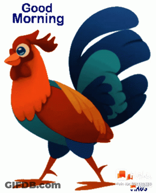 Animated Rooster Crowing While Walking GIF