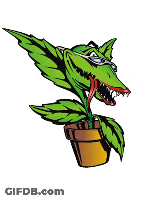Animated Sassy Venus Fly Trap GIF