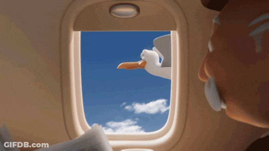 Animated Seagull Flying Salute GIF