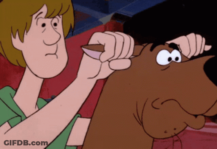 Animated Shaggy Adjusting Scooby Doo's Ear GIF