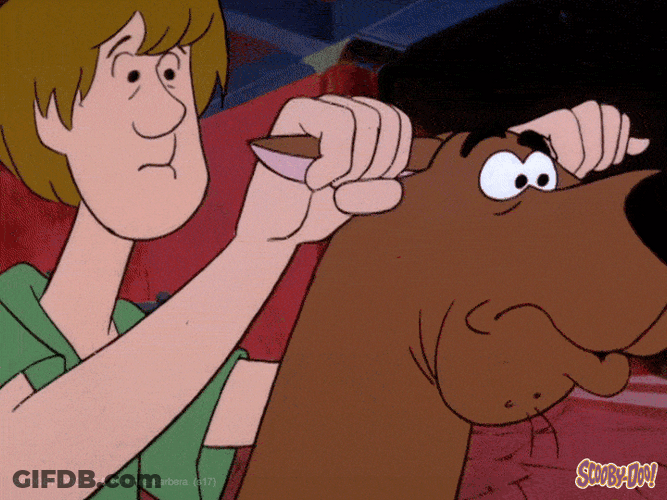 Animated Shaggy Riding Scooby Doo Adjusting Gears On Ears GIF