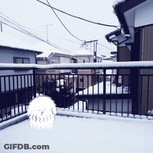 Animated Shivering Dog On The Balcony GIF