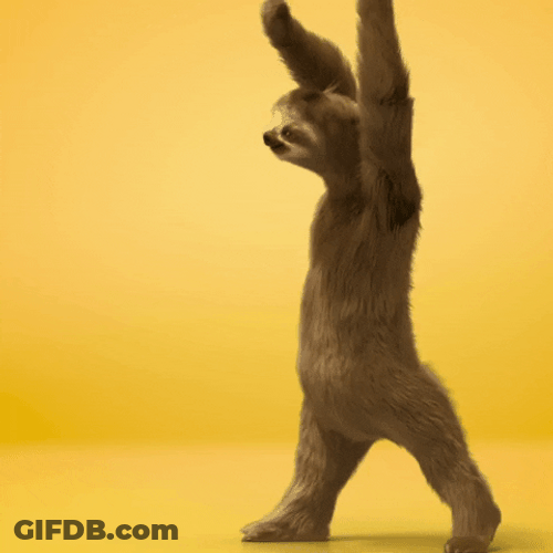 Animated Sloth Dancing GIF