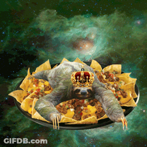 Animated Sloth Diving On The Nacho GIF