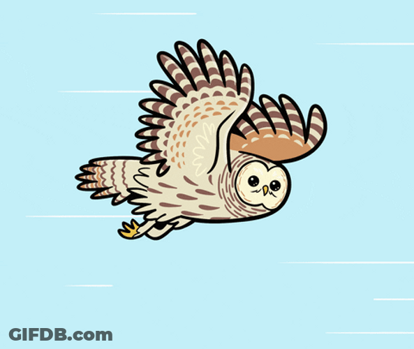 Animated Speeding Owl GIF