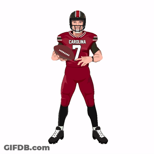 Animated Spencer Rattler Gamecocks GIF