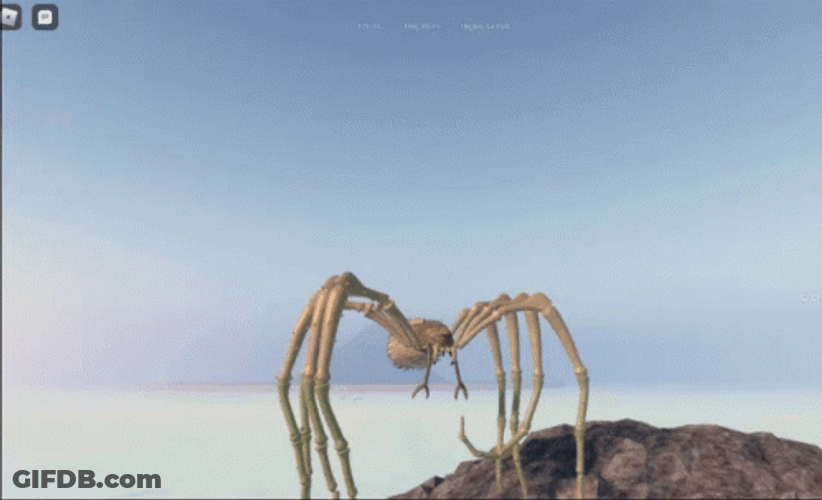 Animated Spider With Long Legs GIF