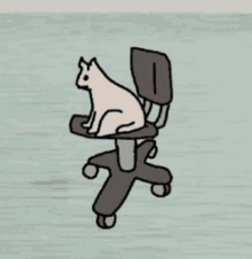 Animated Spinning Cat GIF