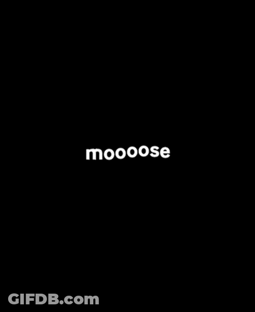 Animated Text Black And White Moose GIF